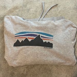 Patagonia hoodie